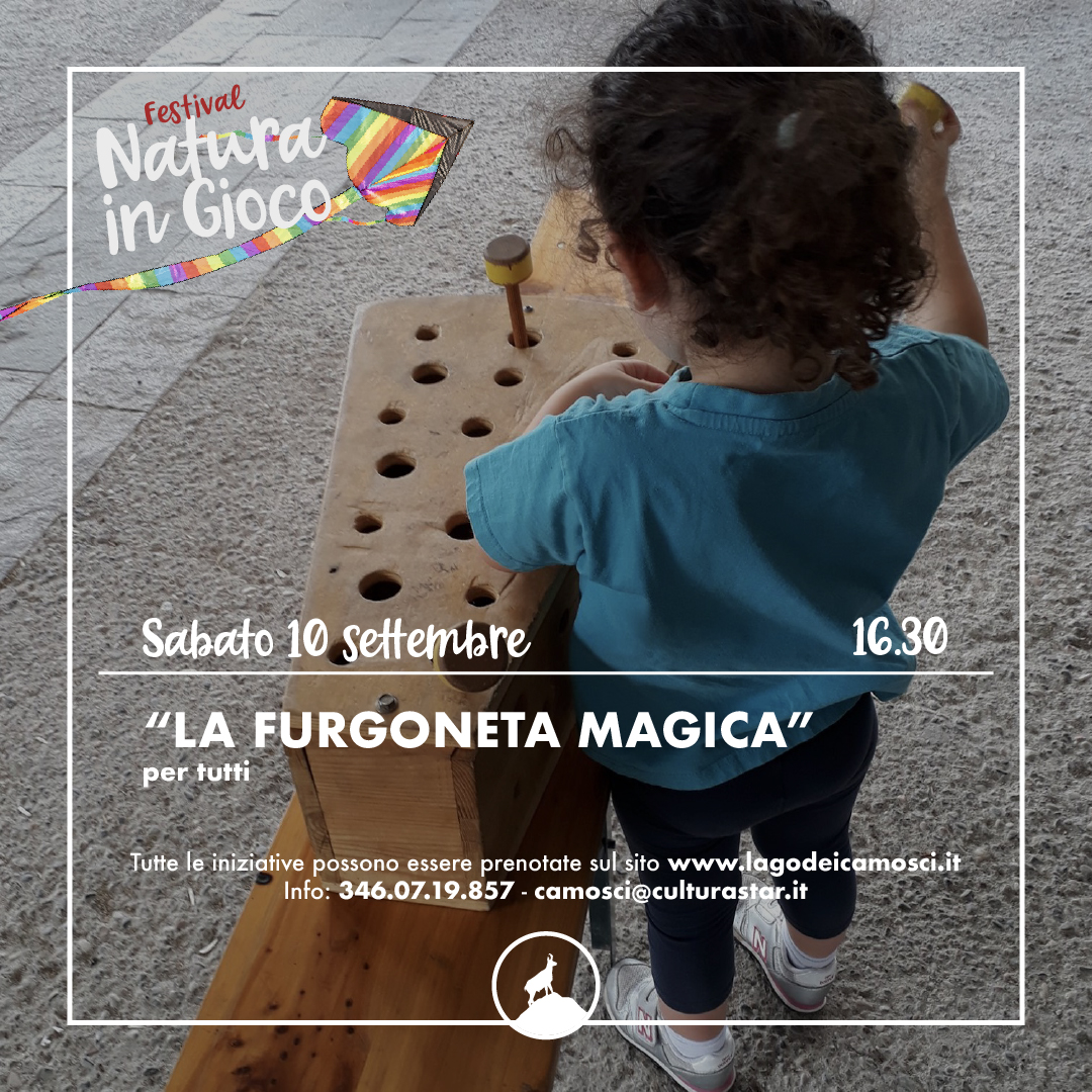FURGONETA MAGICA