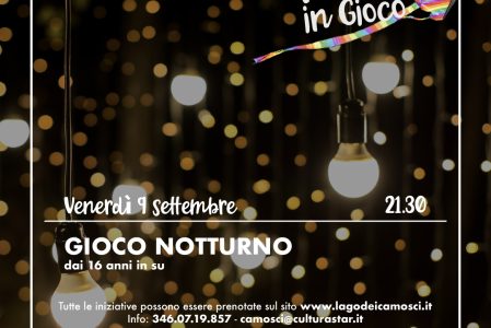 GIOCO NOTTURNO